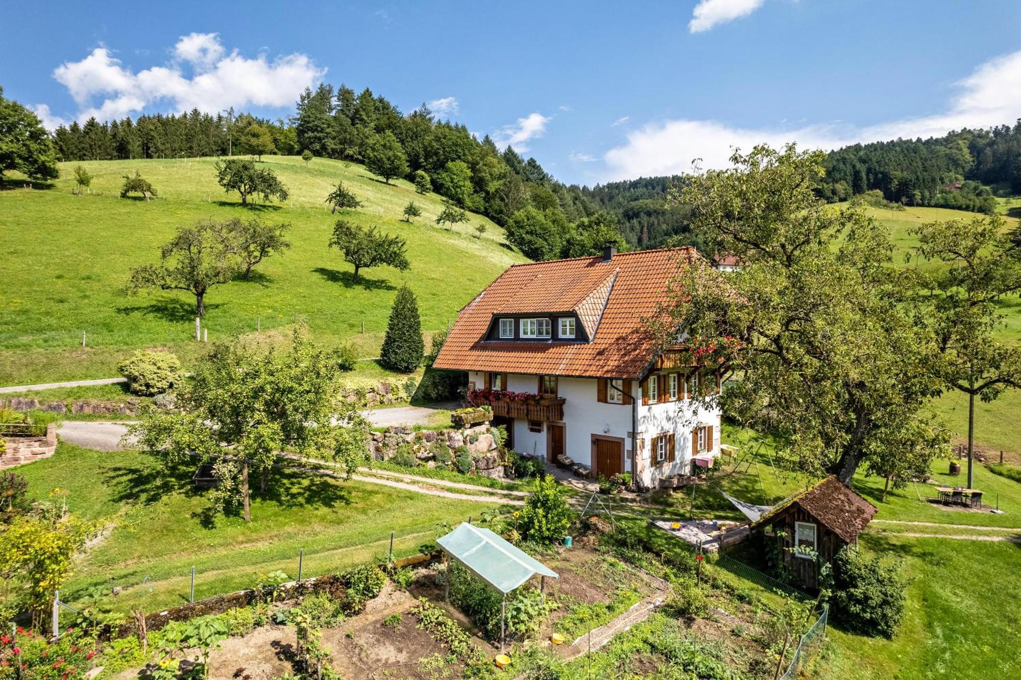 Ferienhaus Vollmer Nordrach Zewnętrze zdjęcie
